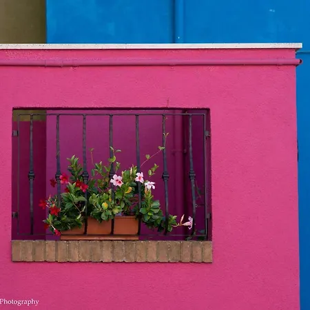 Casa Nova
